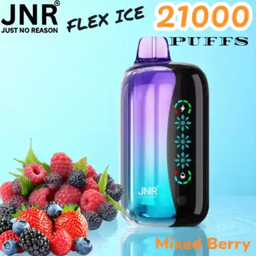 JNR FLEX ICE 21000 PUFFS Langanhaltender Genuss und Anpassbarkeit