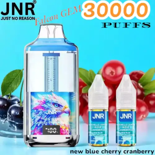 JNR Falcon GEM 30000 Puffs Premium Dampfen mit Top-Aromen