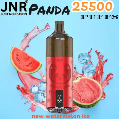 JNR Panda 25500 Puffs Langanhaltender Genuss mit innovativer Technologie